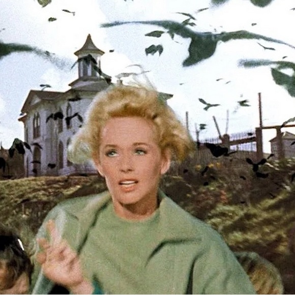 Meet your Posher, Pat - Picture 1 of 1